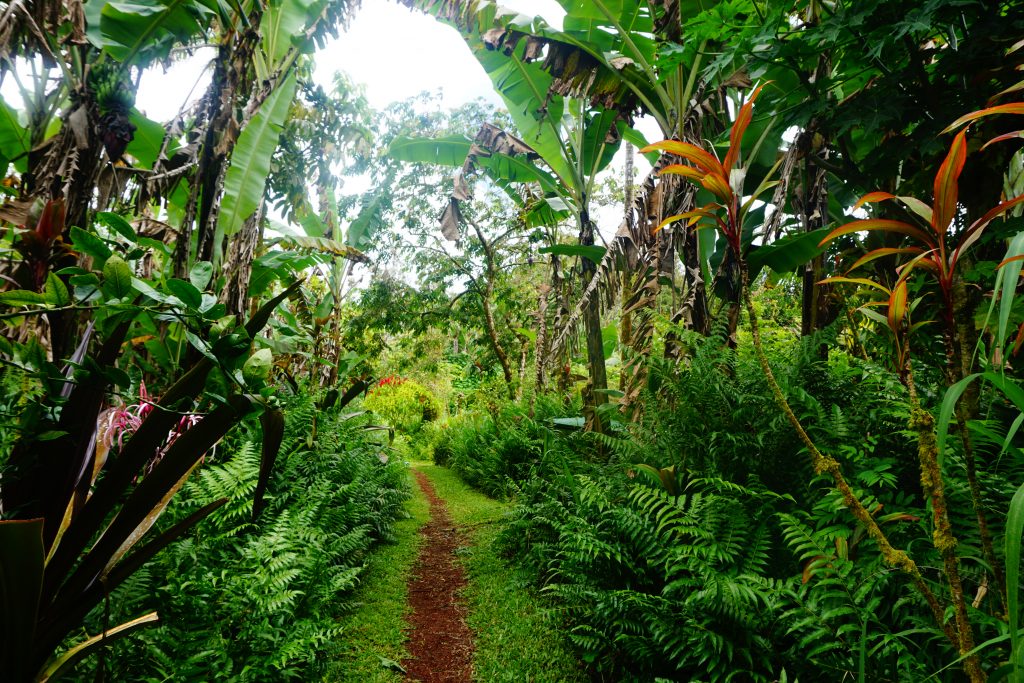 Permaculture Hawaii
