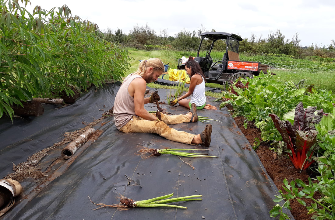 Permaculture Design Course