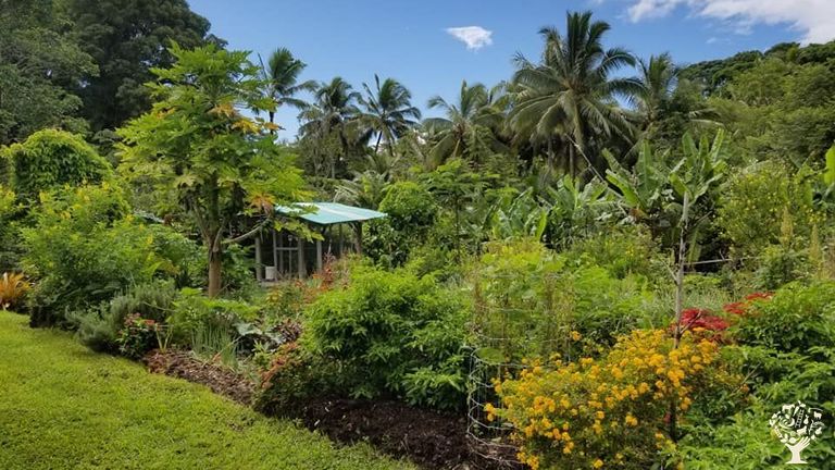 Food Forest