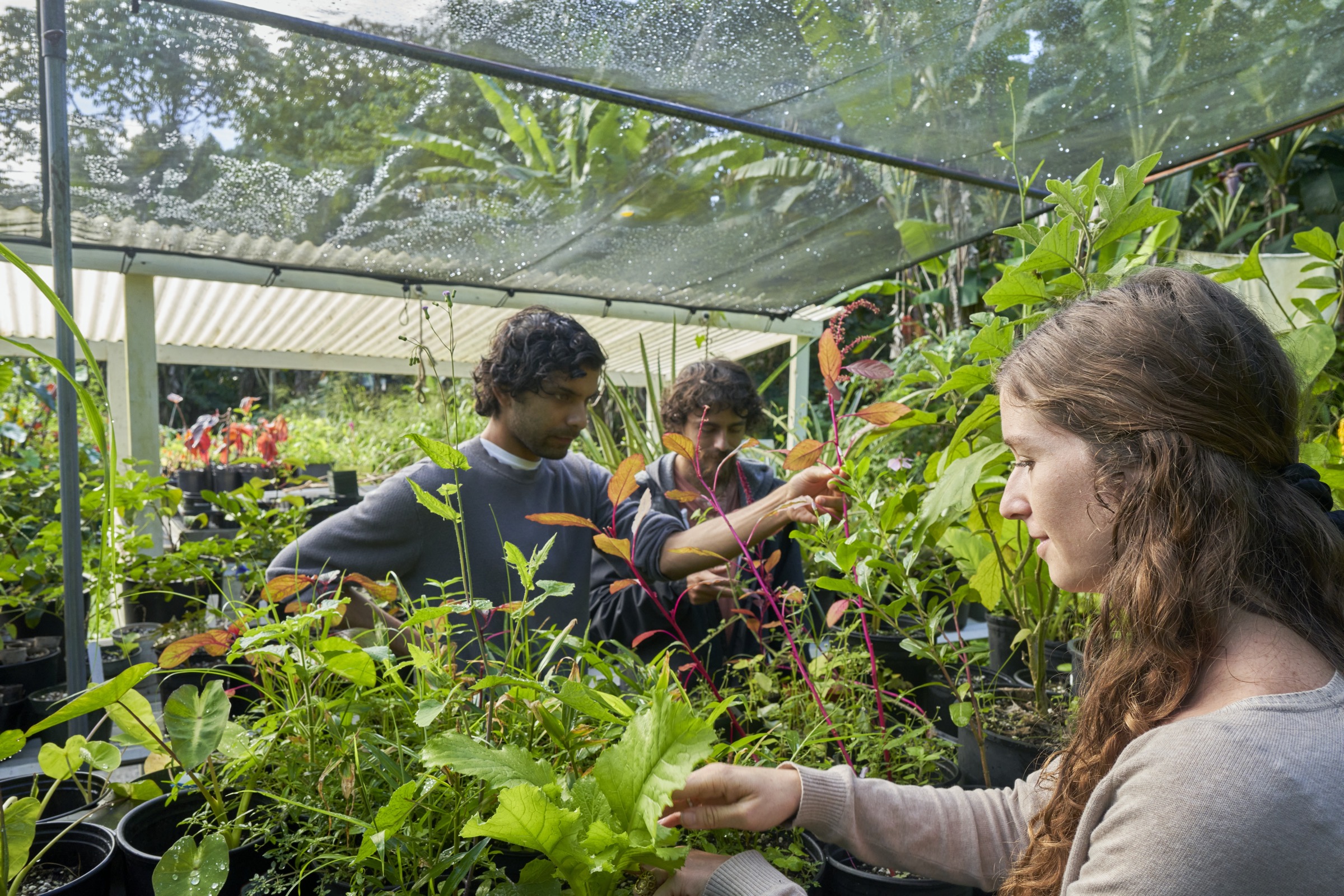 Permaculture Foundation of Hawaii